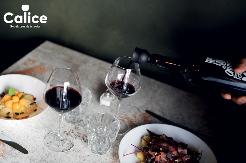 Display de 6 Aérateurs Calice Wine "Made in France"