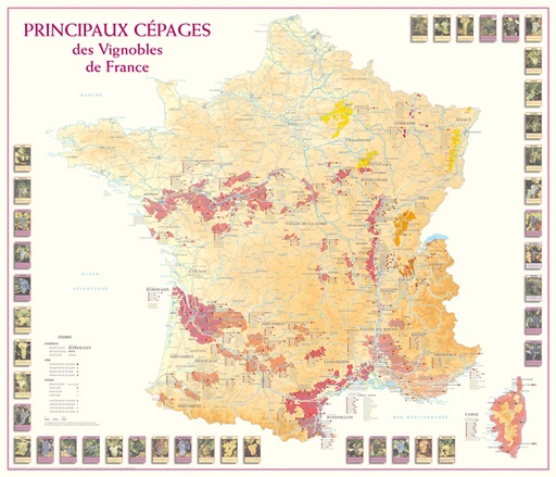 [AG-F080-FR002PS] Carte des principaux Cépages des Vignobles de France FR002PS